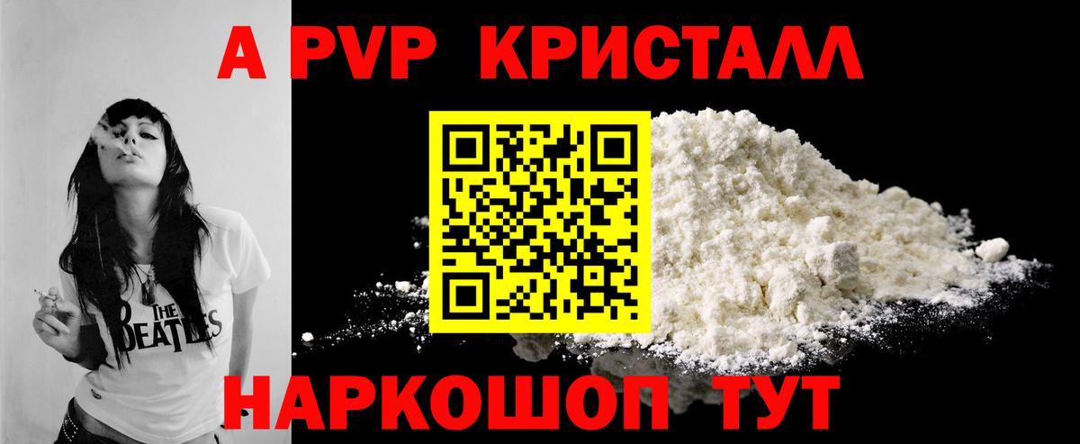 APVP СК  Вход с VPN  хочу наркоту  A PVP  Alpha PVP СК КРИС  Карабулак 